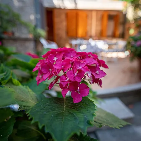 La Gatta Blu Bed & Breakfast