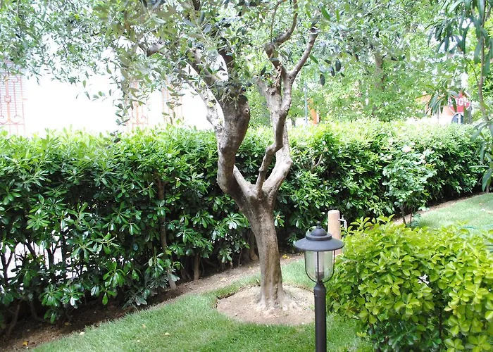 La Gatta Blu Каттолика