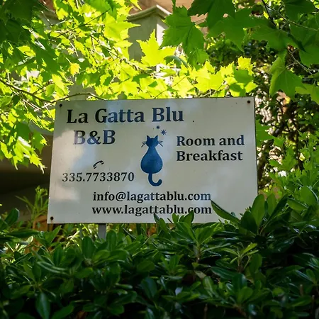 Frühstückspension La Gatta Blu Cattolica