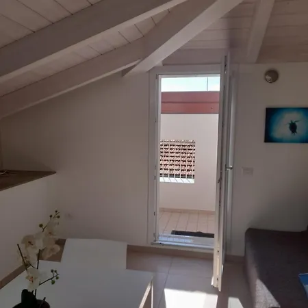 La Gatta Blu Cattolica