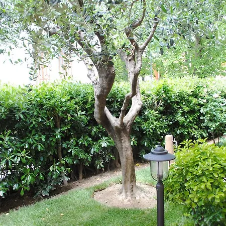 La Gatta Blu Cattolica