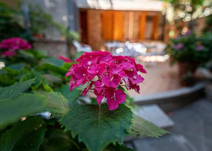 La Gatta Blu Frühstückspension