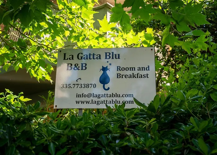 Alojamento de Acomodação e Pequeno-almoço La Gatta Blu Cattolica